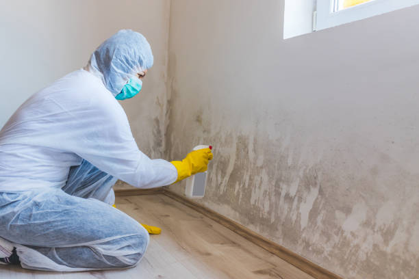 Hvac And Air Duct Mold Remediation inspection of HVAC system in Bergenfield